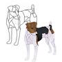 Jack Russell Terrier Dog Obsession Pattern