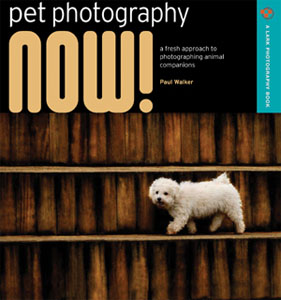 Pet Photography Now!