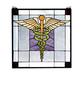 The Doctor Is In Stained Glass Window 