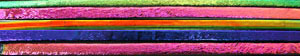 Hot Stix on Thin Black 10 Pack - 96 COE, Glass Strips - 96 coe