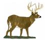 Obsession Pre-Cut November Buck Kit