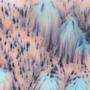 Norhtern Lights Crystalites - 4 Oz