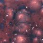 Plum Jelly Crystalites - 4 Oz