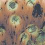 Cappuccino Mint Crystalites - 4 Oz