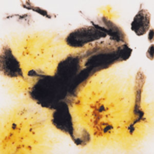 Cheetah Crystalites - 4 OZ, Ceramic Supplies