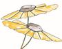 Blackeyed Susan Bevel Cluster