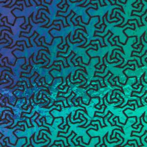 4 x 4 Reptiles Laser Etched on Thin Black - 90 COE