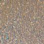 Cyan / Copper On Clear Ripple - 90 Coe