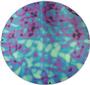 Red / Silver Blue Aurora Borealis On Thin Black - 90 COE