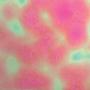 Salmon Aurora Borealis On Thin Clear - 90 Coe