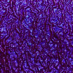 Yellow / Purple On Black Ripple - 90 Coe, Texture Black - 90 COE