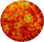 Candy Apple Red Aurora Borealis Thin Black - 96 COE
