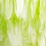 Spectrum Amazon Green On Clear Streaky