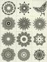 Radial Kaleidoscope Focal Set Sepia Slides