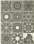 Zebra Kaleidoscope Focal Set Sepia Slides
