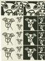 Puppy Jewelry Set Sepia Slides