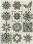 Whale Tail Focal Set Sepia Slides