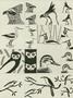 Bird Jewelry Set Sepia Slides