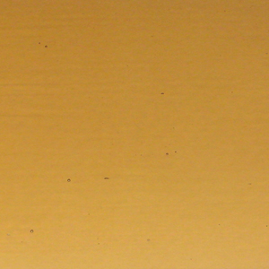 Wissmach Champagne Transparent Thin - 90 COE