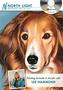 Painting Animals In Acrylic With Lee Hammond DVD
