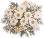 Wedding Whites Flower Assortment - 40 Pack