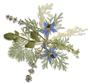 Herb Assortment - 20 Pack
