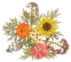 Springtime Flower Assortment - 20 Pack