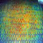 Waves Tie Dye On Thin Clear - 90 COE