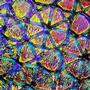 4 x 4 Mixture Geodesic Crinklized on Thin Black - 90 COE