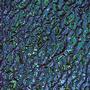 Aqua On Black Granite Ripple - 96 COE