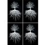 Tree of Life White Enamel Decals - 4 Pack