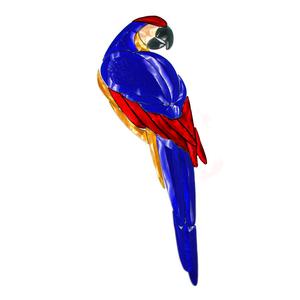 Blue Colored Macaw Bevel Cluster