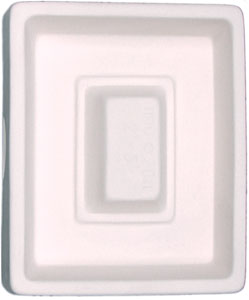 Small Picture Frame Mold