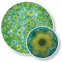 Yellow Cape Jasmine Millefiori - 90 Coe