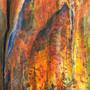 Uroboros Autumn Stream Ring Mottled