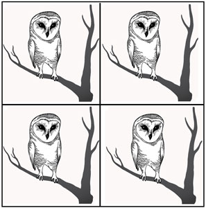Tree Owl Black Enamel Decals - 4 Pack