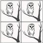 Tree Owl Black Enamel Decals - 4 Pack