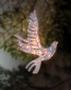 Free 2011 Craig Mitchell Smith Dove Christmas Ornament Pattern
