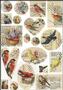 Birds Collage Sheet - 2 Pack