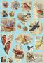 Birds Transfer Sheet - 2 Pack