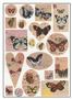 Butterflies Collage Sheets - 2 Pack