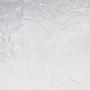 Clear Onami Glue Chip