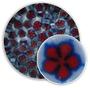 Red Bellflower Millefiori - 96 Coe