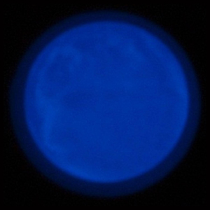 Violet Purple Glow in the Dark Powder - 5 Gm