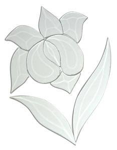 Iris Bevel
