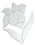Iris Bevel