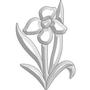 Crocus Bevel