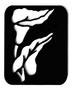 Calla Lily Premium Stencil
