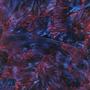 Van Gogh Blue / Red