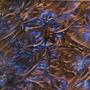 Van Gogh Blue / Champagne